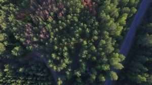 Video Drone Service Ontario
