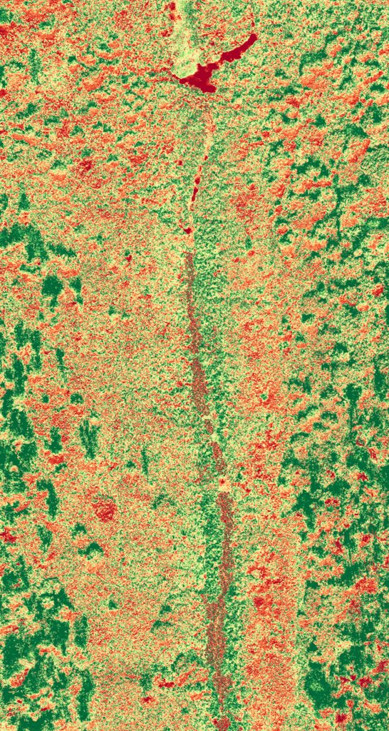 NDVI Orthophoto